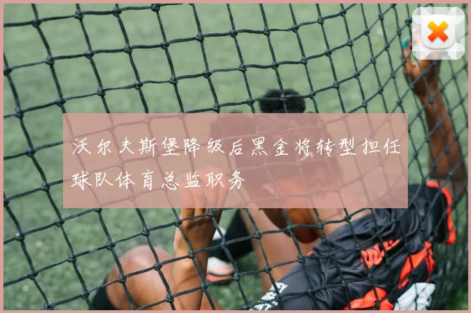 沃尔夫斯堡降级后黑金将转型担任球队体育总监职务