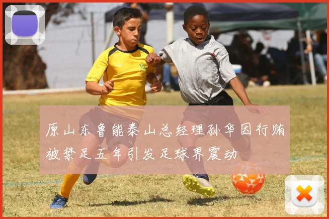 原山东鲁能泰山总经理孙华因行贿被禁足五年引发足球界震动