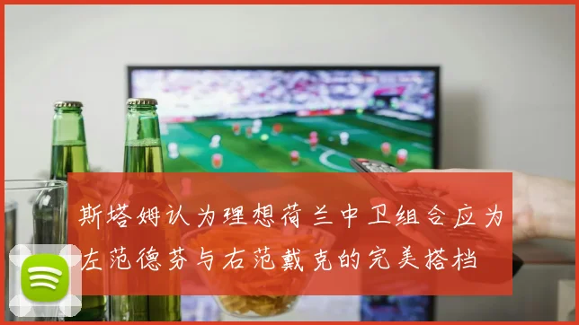 斯塔姆认为理想荷兰中卫组合应为左范德芬与右范戴克的完美搭档