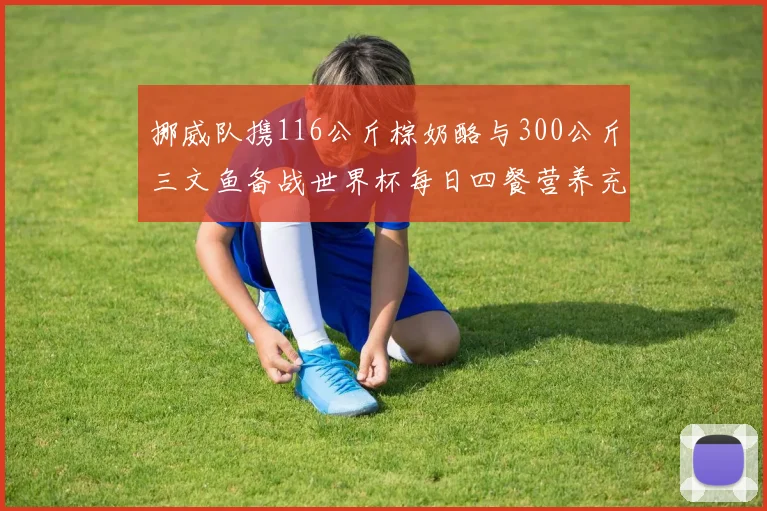 挪威队携116公斤棕奶酪与300公斤三文鱼备战世界杯每日四餐营养充足